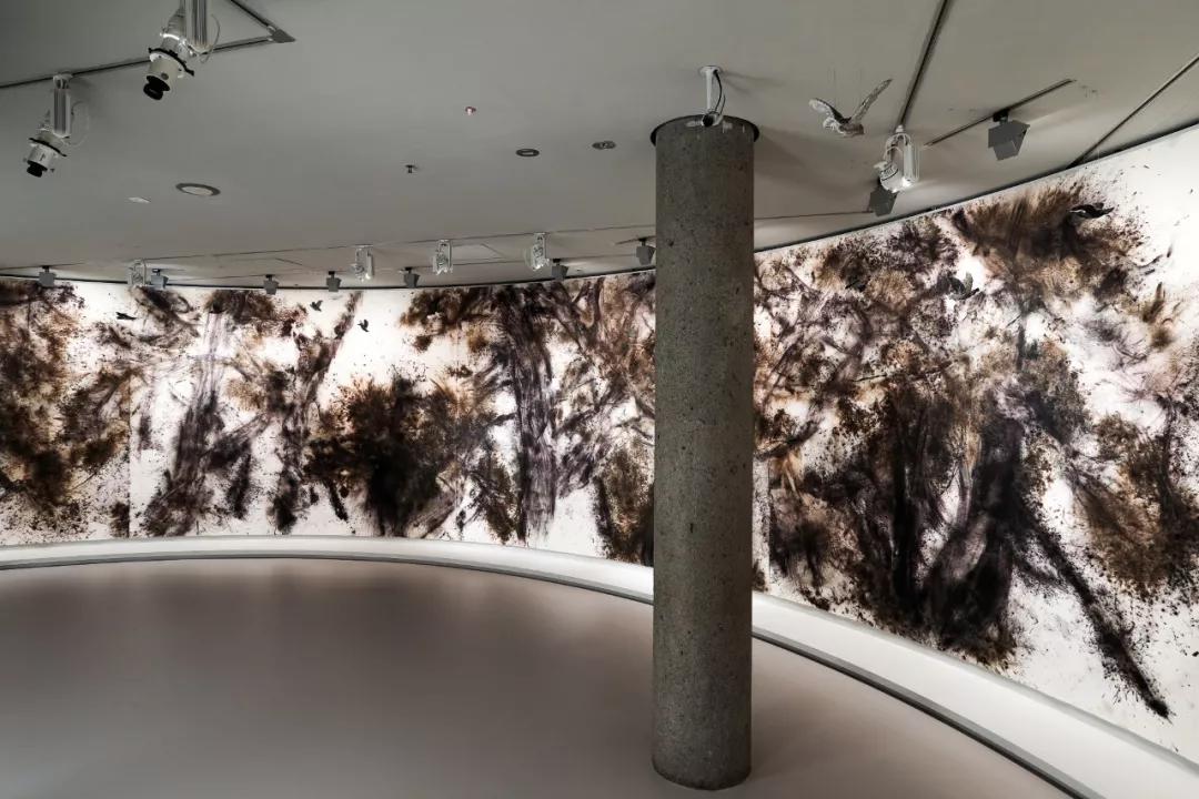 《柏风》，2019， 维多利亚州国立美术馆　　摄影：Tobias Titz