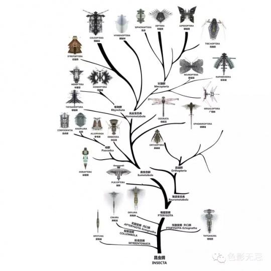 把建筑拍成昆虫?
