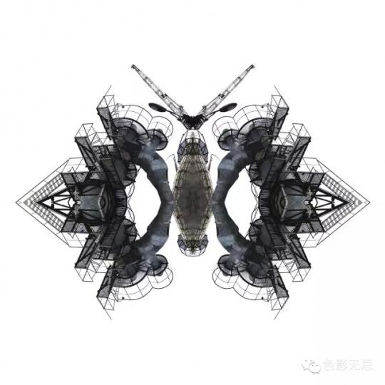 把建筑拍成昆虫?