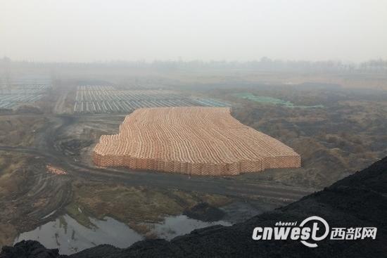 图片版权归原作者所有