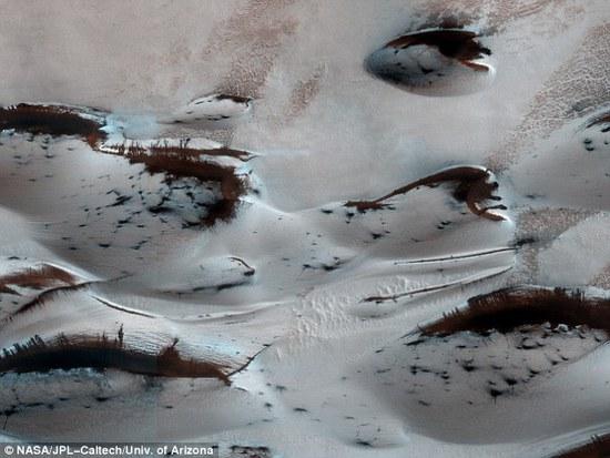NASA发布火星“森林”照片