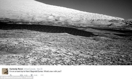 NASA发布火星“森林”照片
