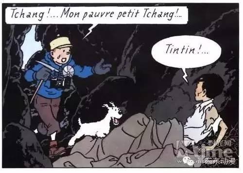 《蓝莲花》,永不凋零的中国情缘