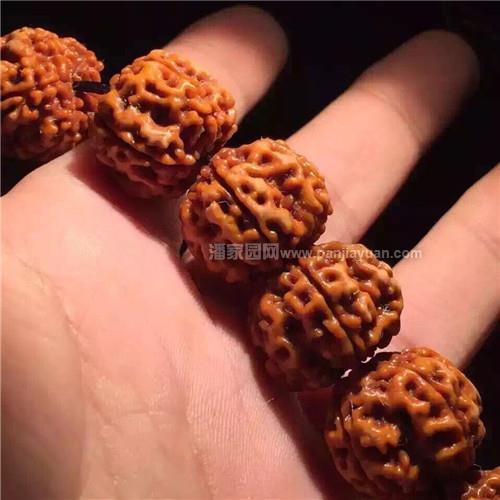 ����ߣ��6�ɣ���������һ����
