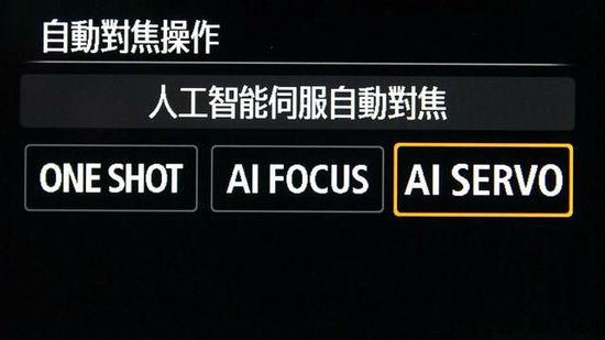 宠物摄影 搞明白这十个问题就够了