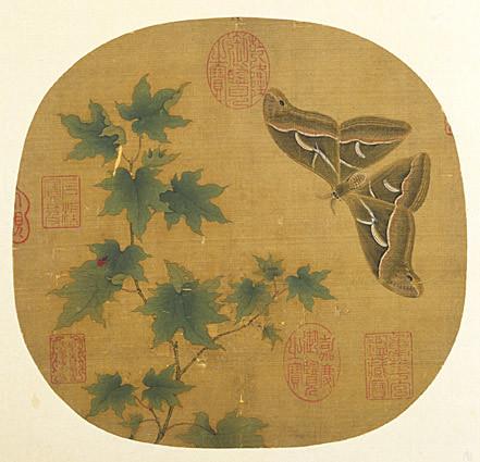 青枫巨蝶图页 宋,纨扇页,绢本