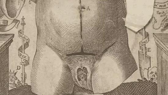 16世纪人体连环画长这样 哥伦比亚大学电子版_上海汽车论坛_XCAR 爱卡汽车俱乐部