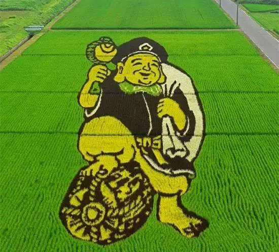 令人震惊的稻田艺术！