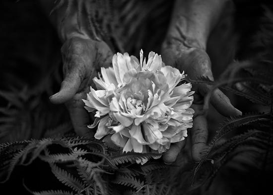Tytia Habing黑白摄影作品:The Gift