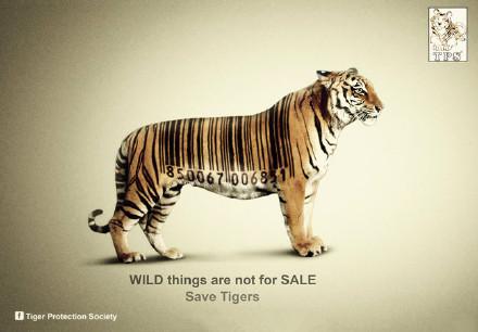 保护动物宣传公益海报创意设计
