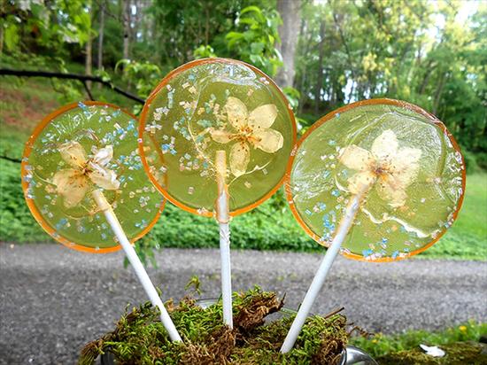 Flower Lollipops：把花瓣藏進棒棒糖裡，賞心悅目的花朵甜點 11