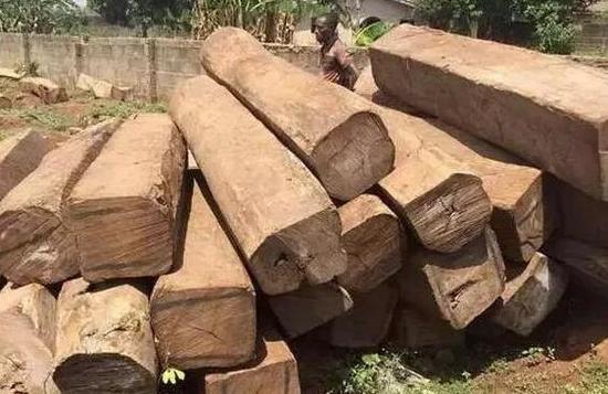 加纳、尼日利亚的&ldquo;亚花梨&rdquo;实际上也是刺猬紫檀