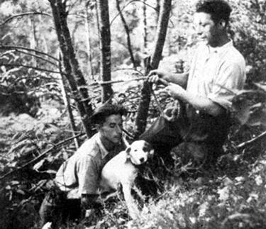 1940年12月CoL岩洞首次被四个年青人（Marcel Ravidat,Jacques Marsal, Georges Agnel and Simon Coencas）及一条狗（Robot）发現