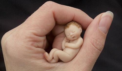 拇指婴儿:惟妙惟肖可爱惹人怜_海外动态