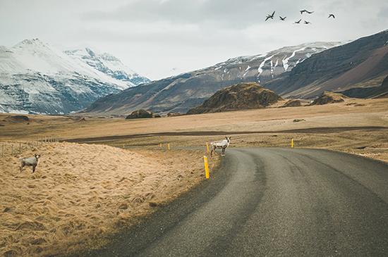 摄影师带你看冰岛公路边的美景