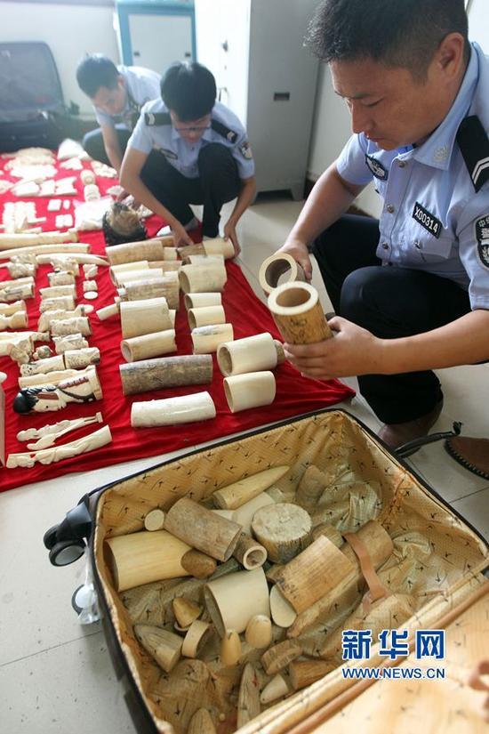 　　民警在统计收缴的象牙半成品（9月12日摄）。