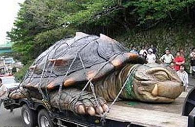 两千年的西汉古墓里竟挖出惊人神龟_藏趣逸闻_新浪收藏_新浪网