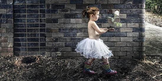 澳4岁女童拍艺术照致敬器官捐献者