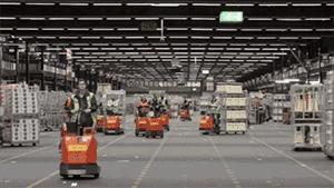 郁金香改变了全世界 得从一场拍卖说起_海外动