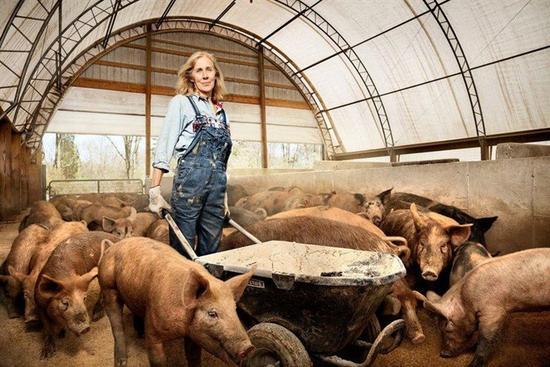 Nancy Poli，猪农，宾夕凡尼亚州