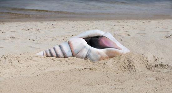 
能认出这是两个人吗？现在分明是一个躺在沙滩上的巨型海螺。
