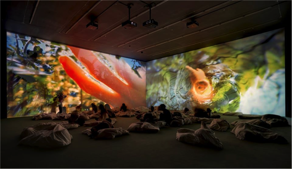  “像素森林”展览现场。图片来源：纽约新美术馆