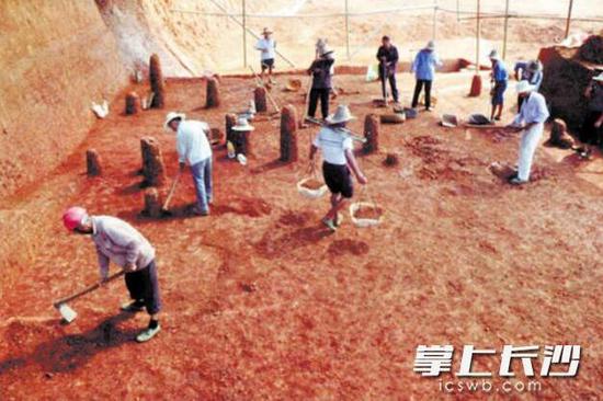 　　沅江赤山岛杨腊丘旧石器时代遗址发掘现场。湖南省文物考古研究所供图