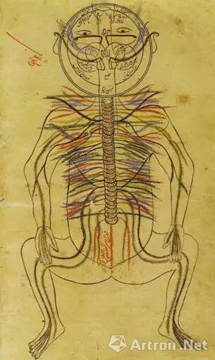 阿维森纳对神经系统的描绘