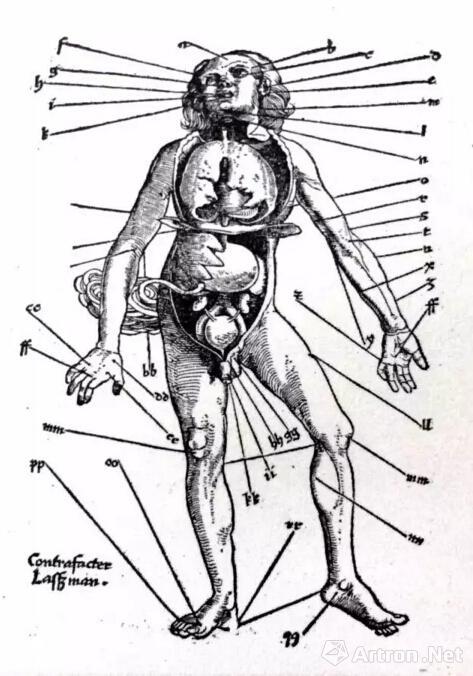 洛朗?弗朗斯 1529年