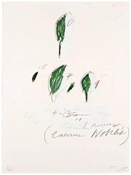 赛·托姆布雷,《Laurus Nobilis: NaturalHistory Part II(约 1975–1976)》。图片:CourtesyRusterholtz Galerie + Auktionen。