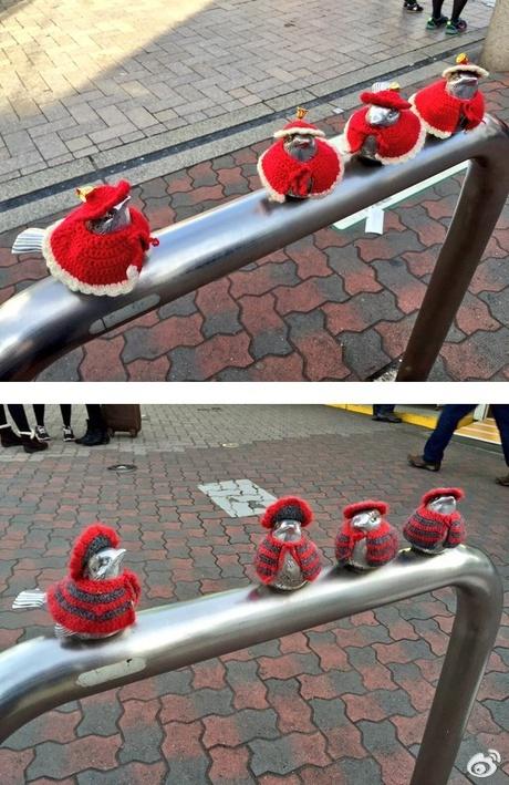 日本镰仓江之岛车站门口有一个禁止车辆进入的栏杆，上面雕了几只小麻雀。石川奶奶隔段时间就会为他们穿上自己亲手编制的衣服。