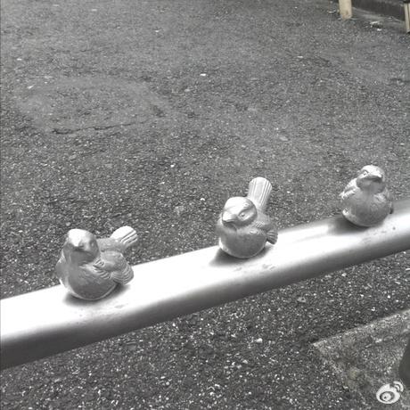 日本镰仓江之岛车站门口有一个禁止车辆进入的栏杆，上面雕了几只小麻雀。石川奶奶隔段时间就会为他们穿上自己亲手编制的衣服。供图：艺术华集