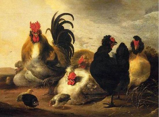 ▲库普《公鸡与母鸡》（Hens and Rooster），1651。