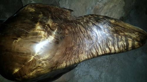 浅谈金丝楠乌木收藏投资带来的人文价值观|金