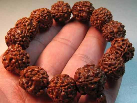 金刚菩提