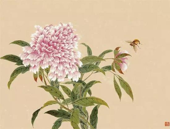 清 邹一桂《花卉画册》局部