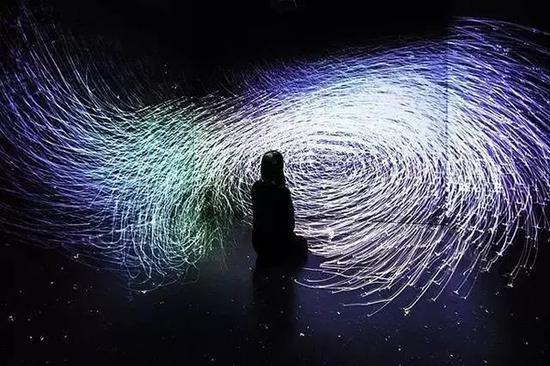 
 《The Way of Birds - Seated Contemplation》,teamLab, 2015