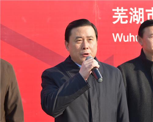 芜湖市人民政府副市长林绪文宣布大展开幕