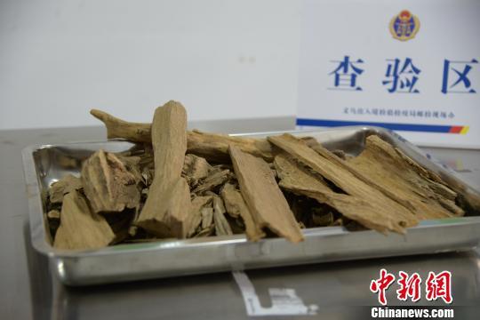 义乌邮路口岸首次截获国家二级濒危珍稀植物沉香木。义乌出入境检验检疫局提供 义乌邮路口岸首次截获国家二级濒危珍稀植物沉香木。义乌出入境检验检疫局提供