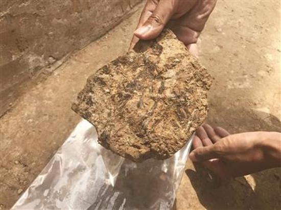 剖面鱼鳞状结构显示这是“草包泥”