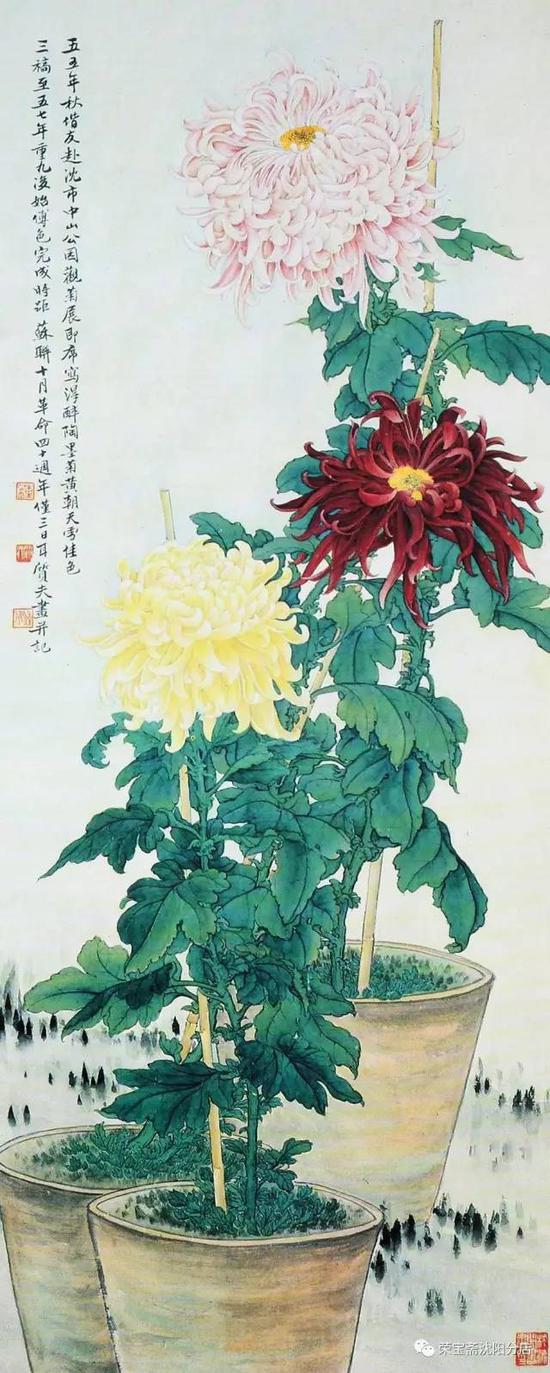 《菊花》（辽博藏）82*35cm 1955年