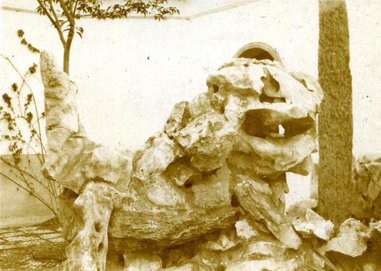 狮子林立雪堂前狮形太湖石（1925年）