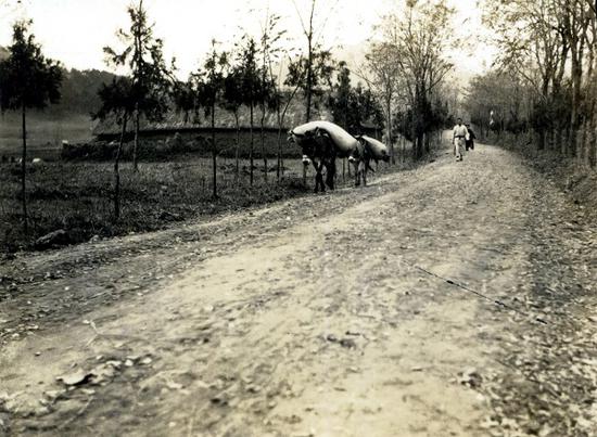 驴驼运货（1923年）