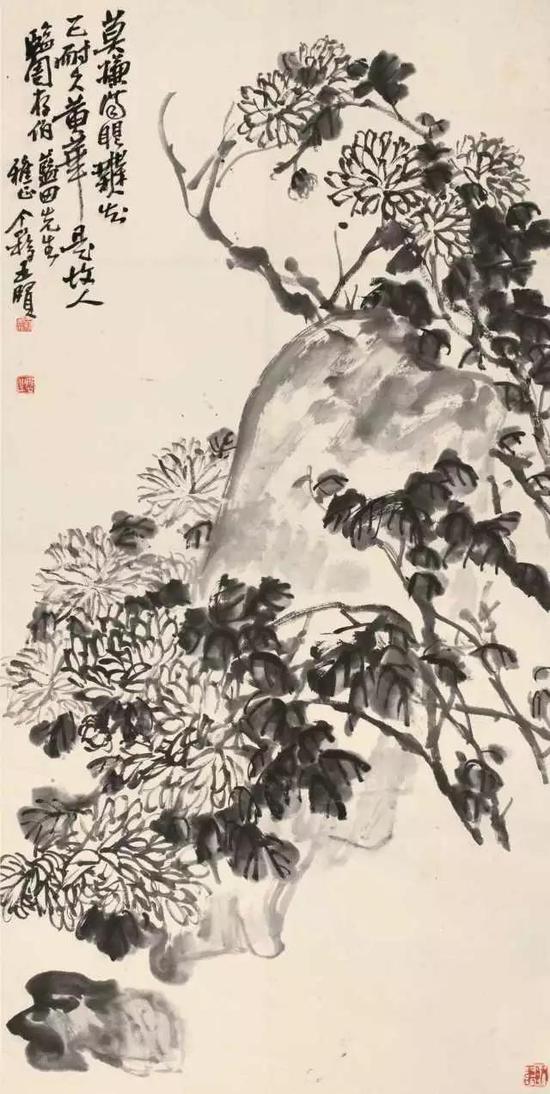 331  王个簃(1896-1988)?菊石图

水墨纸本?立轴

题识：莫嫌满眼无知己，耐久黄花是故人。临周存伯，蓝田先生雅正，个簃王贤。

钤印：王贤印信、启之、既寿

94×47cm?约4.0平尺

RMB: 8,000-12,000