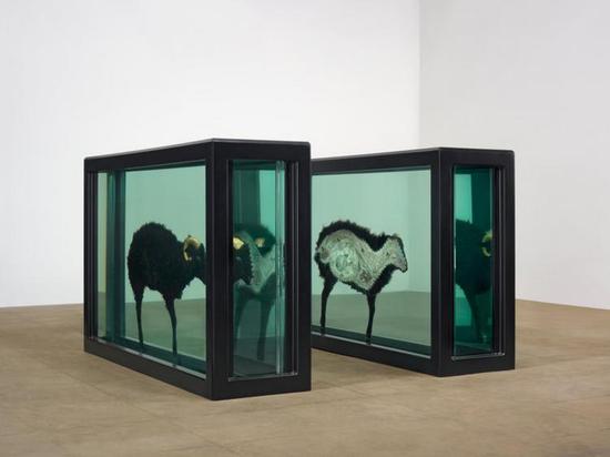 'Natural History' by Damien Hirst