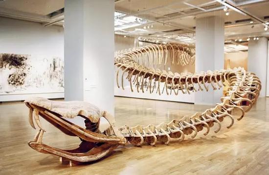 
���Ż����f�ġ����ߡ�����ͼ��������Ʒ������ת�����˽�ܵ�˽Ǣ���ף�һʱ������������˹��Ʒ����֮·������η�