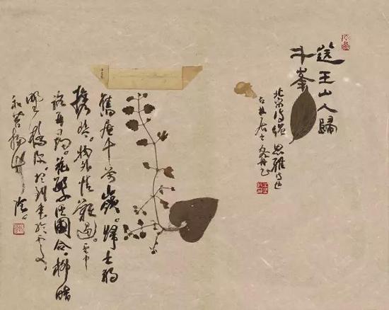 纸本镜心 40×50 CM