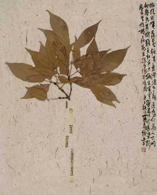纸本镜心 50×40 CM
