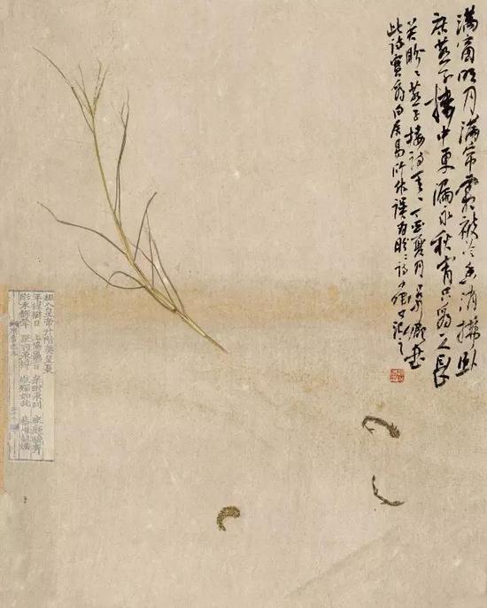 纸本镜心 50×40 CM