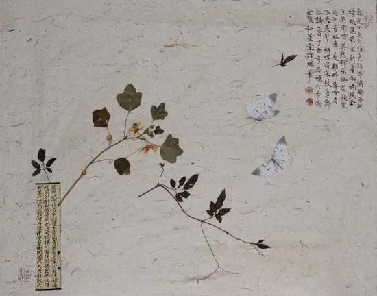 纸本镜心 40×50 CM